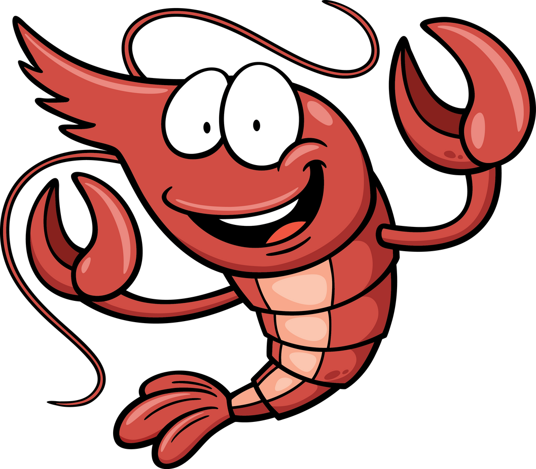 Red shrimp